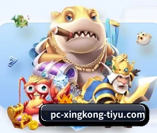 星空体育的故事 - 体育资讯内容服务 - XK sports app